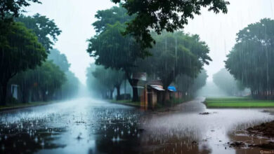 बगपत, मेरठ, मथुरा, आगरा ... अप के 15 जिलों में भारी बारिश और गरज के साथ सतर्कता! अपने जिले का मौसम अद्यतन जानें - मौसम समाचार भारी बारिश और बिजली के 15 जिलों में बिजली की अलर्ट