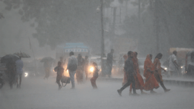 MP Weather Heavy rain warning