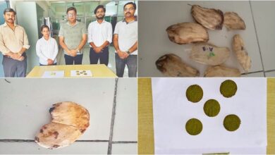 आरबीएस इंजीनियरिंग के छात्रों ने कचरे से स्वास्थ्य खजाना की खोज की - अमर उजला हिंदी समाचार लाइव