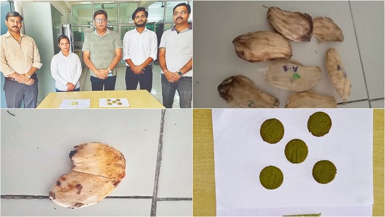 आरबीएस इंजीनियरिंग के छात्रों ने कचरे से स्वास्थ्य खजाना की खोज की - अमर उजला हिंदी समाचार लाइव