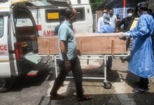 Hindustan Hindi News