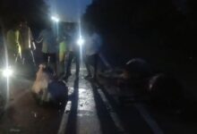 जयपुर राजमार्ग पर दुर्घटना: सड़क पर बैठे बैल को गंभीर हालत में चार मृतकों को रौंद दिया गया - अमर उजला हिंदी समाचार लाइव
