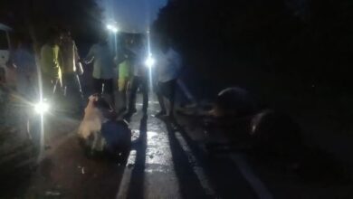 जयपुर राजमार्ग पर दुर्घटना: सड़क पर बैठे बैल को गंभीर हालत में चार मृतकों को रौंद दिया गया - अमर उजला हिंदी समाचार लाइव