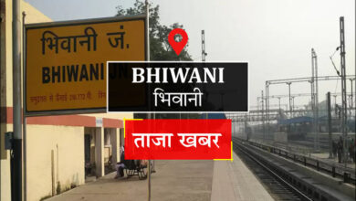 जिले में मलेरिया के दो मामले, डेंगू लार्वा 4578 घरों में पाए गए - भिवानी समाचार
