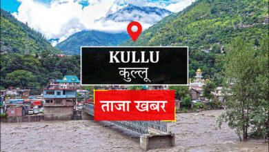 कुल्लू न्यूज: डांग -मैलेरिया जोखिम बढ़ता है, स्वास्थ्य विभाग कसकर - अमर उजला