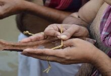 पितृ पक्ष पर पितरों की मुक्ति के लिए कर्म किए जाते हैं (Photo: PTI)