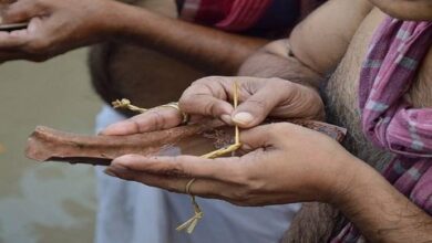 पितृ पक्ष पर पितरों की मुक्ति के लिए कर्म किए जाते हैं (Photo: PTI)
