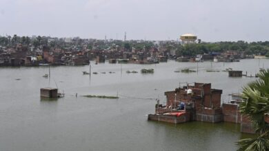 Hindustan Hindi News