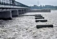 आगरा समाचार: आज, यमुना नदी खतरे के निशान तक पहुंच जाएगी; गोकुल बैराज से जारी पानी के 705635 क्यूसेक