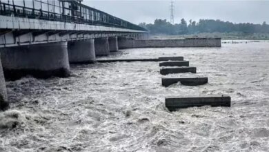 आगरा समाचार: आज, यमुना नदी खतरे के निशान तक पहुंच जाएगी; गोकुल बैराज से जारी पानी के 705635 क्यूसेक