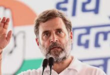 अमेरिकी कपास पर खत्‍म कर दिया टैरिफ, सरकार के इस फैसले से नफा या नुकसान