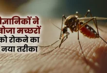 वैज्ञानिकों ने मच्छर को दूर करने के लिए एक नया तरीका खोजा, जो इसे सुरक्षित मानते हैं। कौन मच्छर से बचाता है