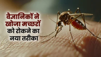 वैज्ञानिकों ने मच्छर को दूर करने के लिए एक नया तरीका खोजा, जो इसे सुरक्षित मानते हैं। कौन मच्छर से बचाता है