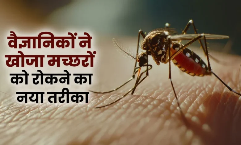 वैज्ञानिकों ने मच्छर को दूर करने के लिए एक नया तरीका खोजा, जो इसे सुरक्षित मानते हैं। कौन मच्छर से बचाता है