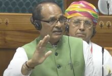 शिवराज सिंह चौहान का तमिलनाडु सरकार पर वार (Photo: Screengrab)