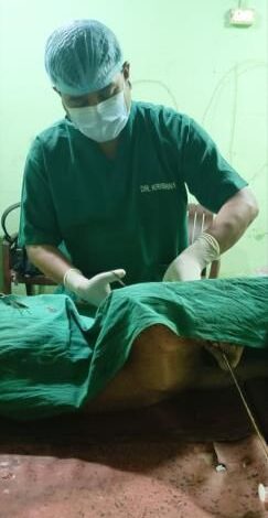 सुप्रीम कोर्ट के आदेश के बाद, निगम ने 100 से अधिक आवारा कुत्तों को पकड़ा - मथुरा न्यूज