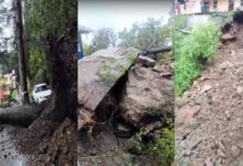 हिमाचल रेन: भारी बारिश ने राज्य में जीवन को बाधित किया, 795 सड़कें रुकी हुई, स्कूल बंद; बादल इतने दिनों तक बारिश करेंगे - अमर उजाला