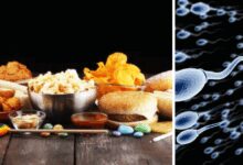 10 अल्ट्रा प्रोसेस्ड फूड्स से टालने के लिए क्या हैं, अल्ट्रा प्रोसेस्ड फूड पुरुषों की शुक्राणु की गिनती को कम कर सकता है, नए अध्ययन द्वारा किए गए कई चौंकाने वाले खुलासे - शुक्राणु की गुणवत्ता के लिए अल्ट्रा प्रोसेस्ड फूड हैं और कैसे टालते हैं