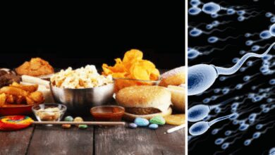 10 अल्ट्रा प्रोसेस्ड फूड्स से टालने के लिए क्या हैं, अल्ट्रा प्रोसेस्ड फूड पुरुषों की शुक्राणु की गिनती को कम कर सकता है, नए अध्ययन द्वारा किए गए कई चौंकाने वाले खुलासे - शुक्राणु की गुणवत्ता के लिए अल्ट्रा प्रोसेस्ड फूड हैं और कैसे टालते हैं