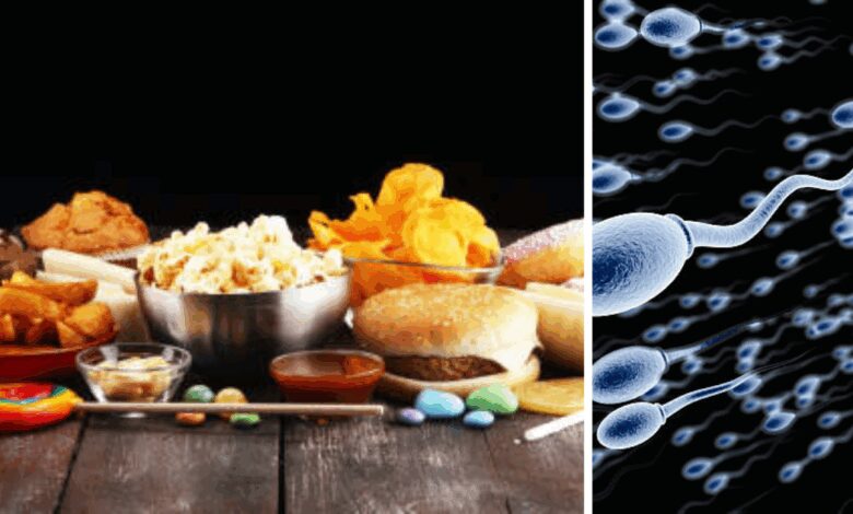 10 अल्ट्रा प्रोसेस्ड फूड्स से टालने के लिए क्या हैं, अल्ट्रा प्रोसेस्ड फूड पुरुषों की शुक्राणु की गिनती को कम कर सकता है, नए अध्ययन द्वारा किए गए कई चौंकाने वाले खुलासे - शुक्राणु की गुणवत्ता के लिए अल्ट्रा प्रोसेस्ड फूड हैं और कैसे टालते हैं