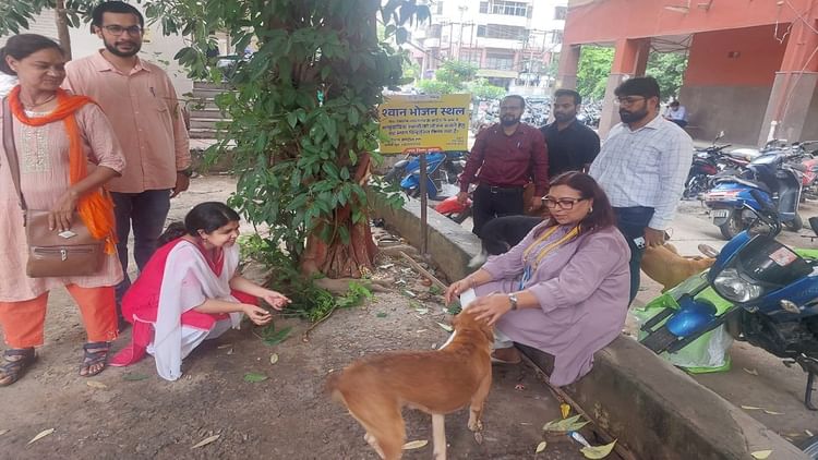 आगरा फर्स्ट डॉग फीडिंग पॉइंट सुप्रीम कोर्ट ऑर्डर - अमर उजला हिंदी समाचार लाइव