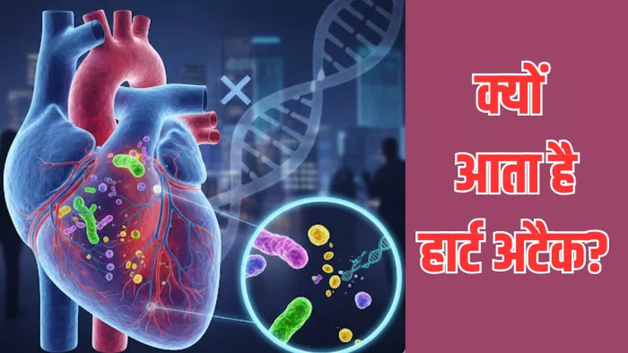क्या आप वास्तव में अपनी जीवनशैली नहीं हैं, लेकिन ये बैक्टीरिया हृदय रोग का कारण हैं? इस नए शोध को पढ़ें
